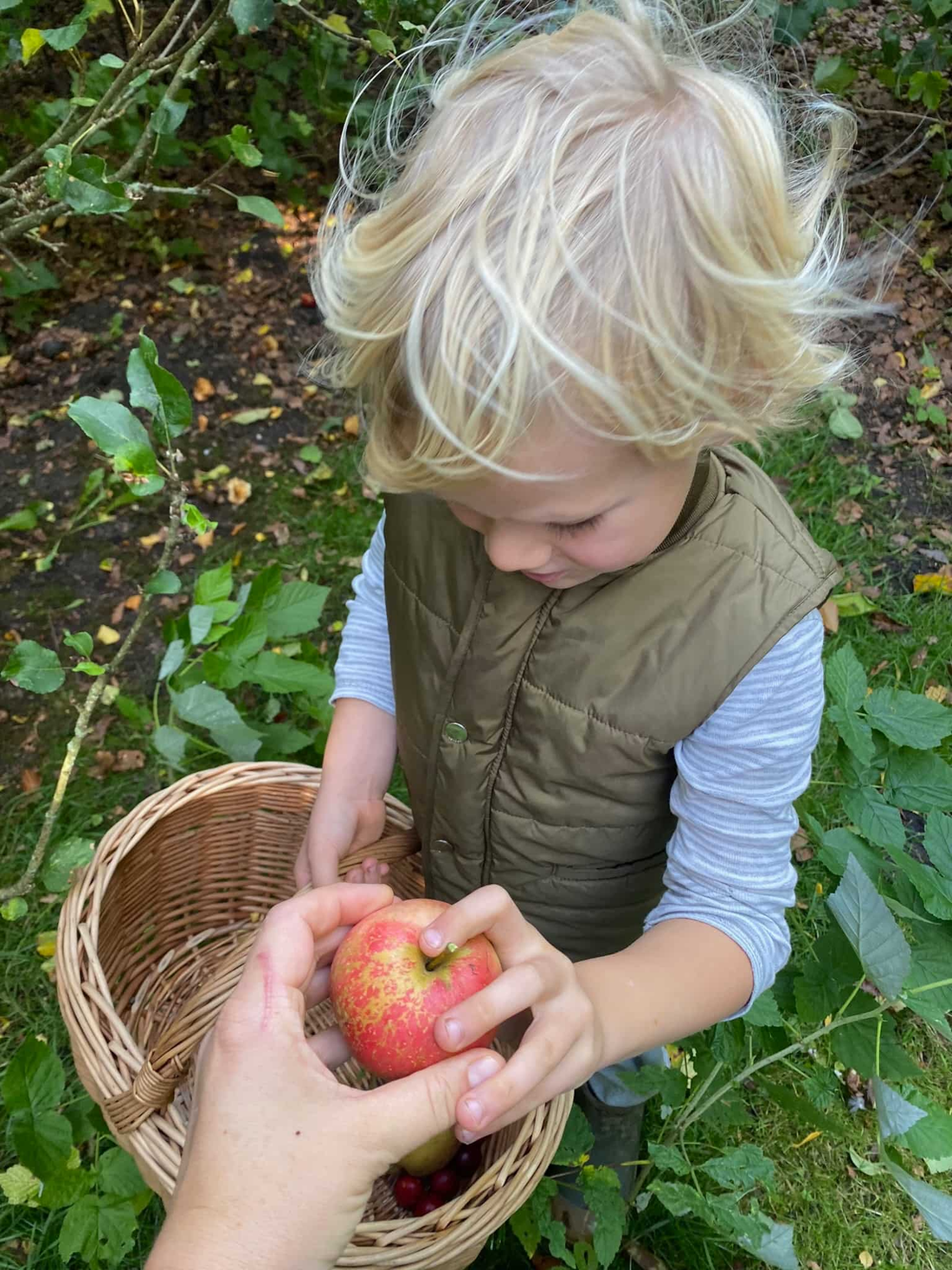 Efterår